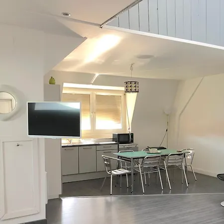 Appartement Le Loft Des Musiciens *