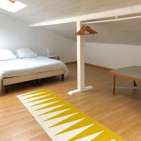 Appartement Le Loft Des Musiciens Mulhouse