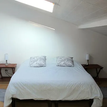 Le Loft Des Musiciens Appartement